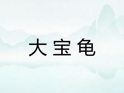 大宝龟