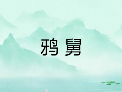鸦舅
