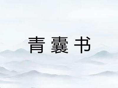 青囊书
