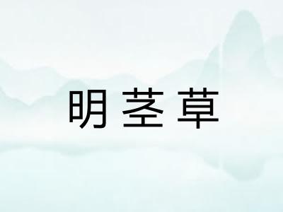 明茎草