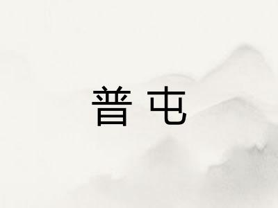 普屯