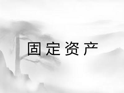 固定资产