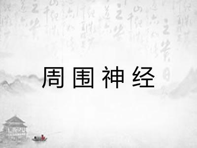 周围神经