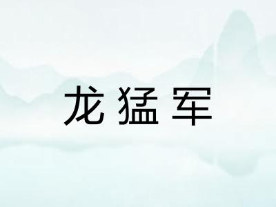 龙猛军
