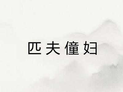 匹夫僮妇