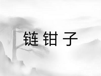 链钳子