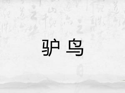 驴鸟