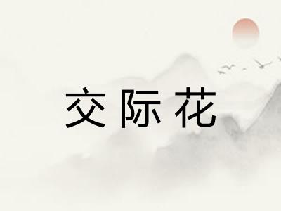 交际花