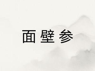 面壁参