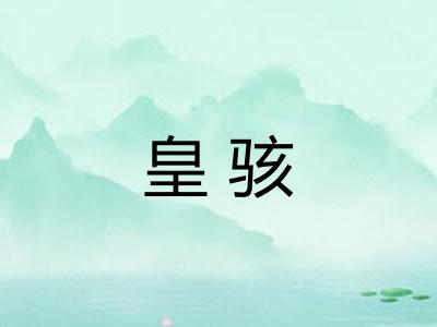 皇骇