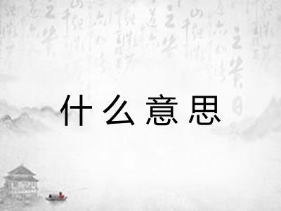什么意思