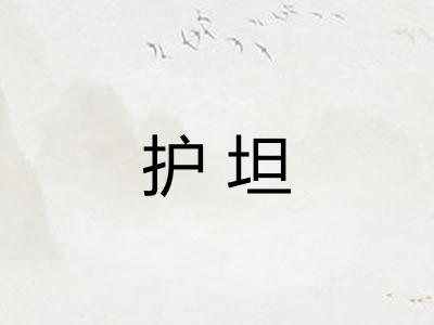 护坦