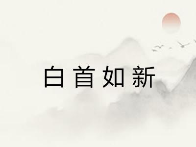 白首如新