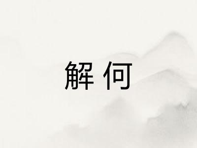 解何