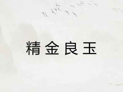 精金良玉