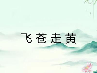 飞苍走黄