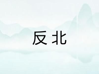 反北