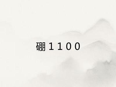 硼1100