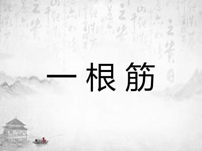 一根筋