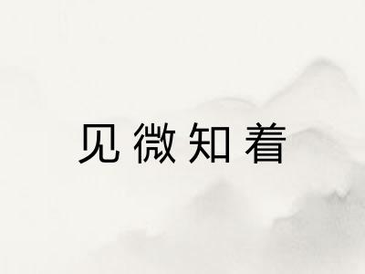 见微知着