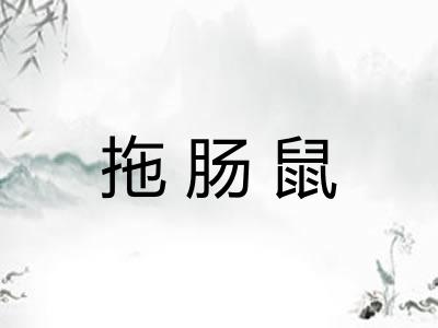 拖肠鼠