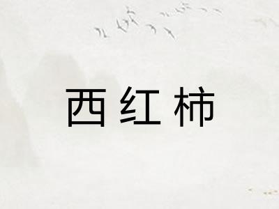 西红柿