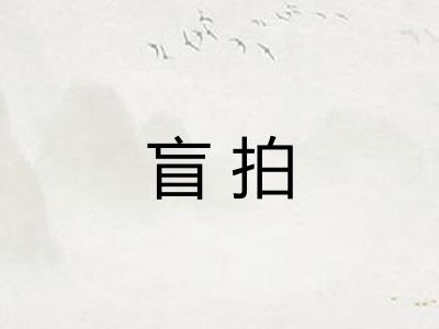 盲拍