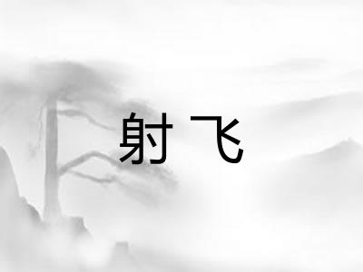 射飞