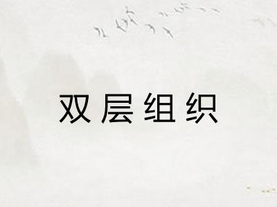 双层组织