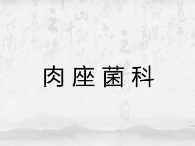 肉座菌科