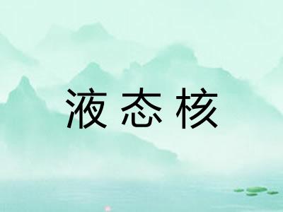 液态核