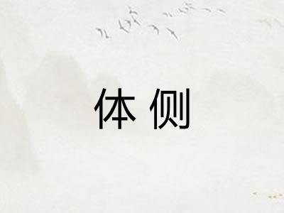 体侧