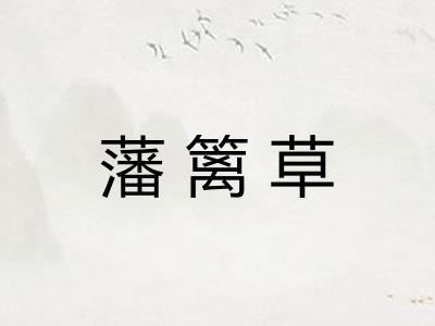 藩篱草
