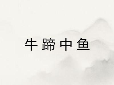 牛蹄中鱼