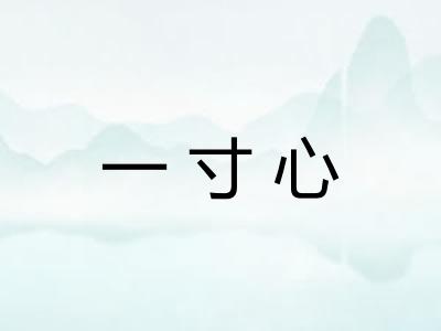 一寸心