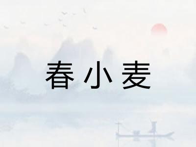 春小麦