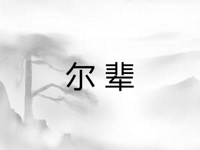 尔辈