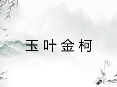 玉叶金柯