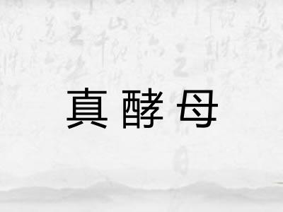 真酵母