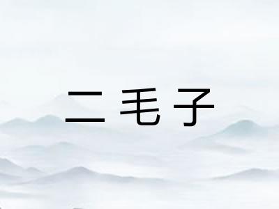 二毛子