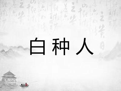 白种人