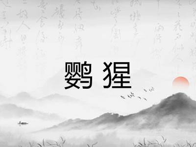 鹦猩