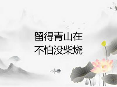 留得青山在不怕没柴烧