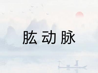 肱动脉