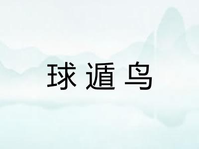 球遁鸟