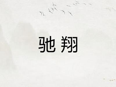驰翔