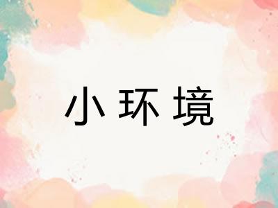 小环境