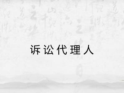 诉讼代理人