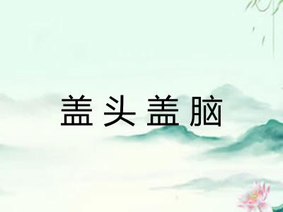 盖头盖脑