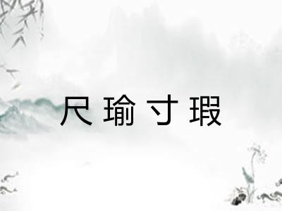尺瑜寸瑕